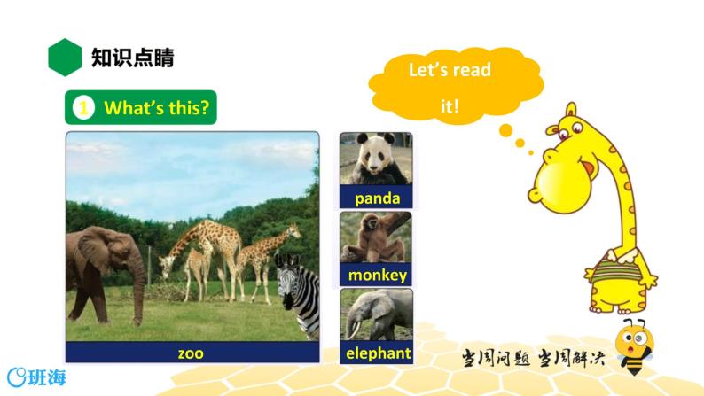 英语三年级【知识精讲】Lesson 7 At the Zoo课件PPT02