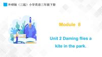 小学英语外研版 (三年级起点)三年级下册Module 8Unit 2  Daming flies a kite in the park.教学ppt课件