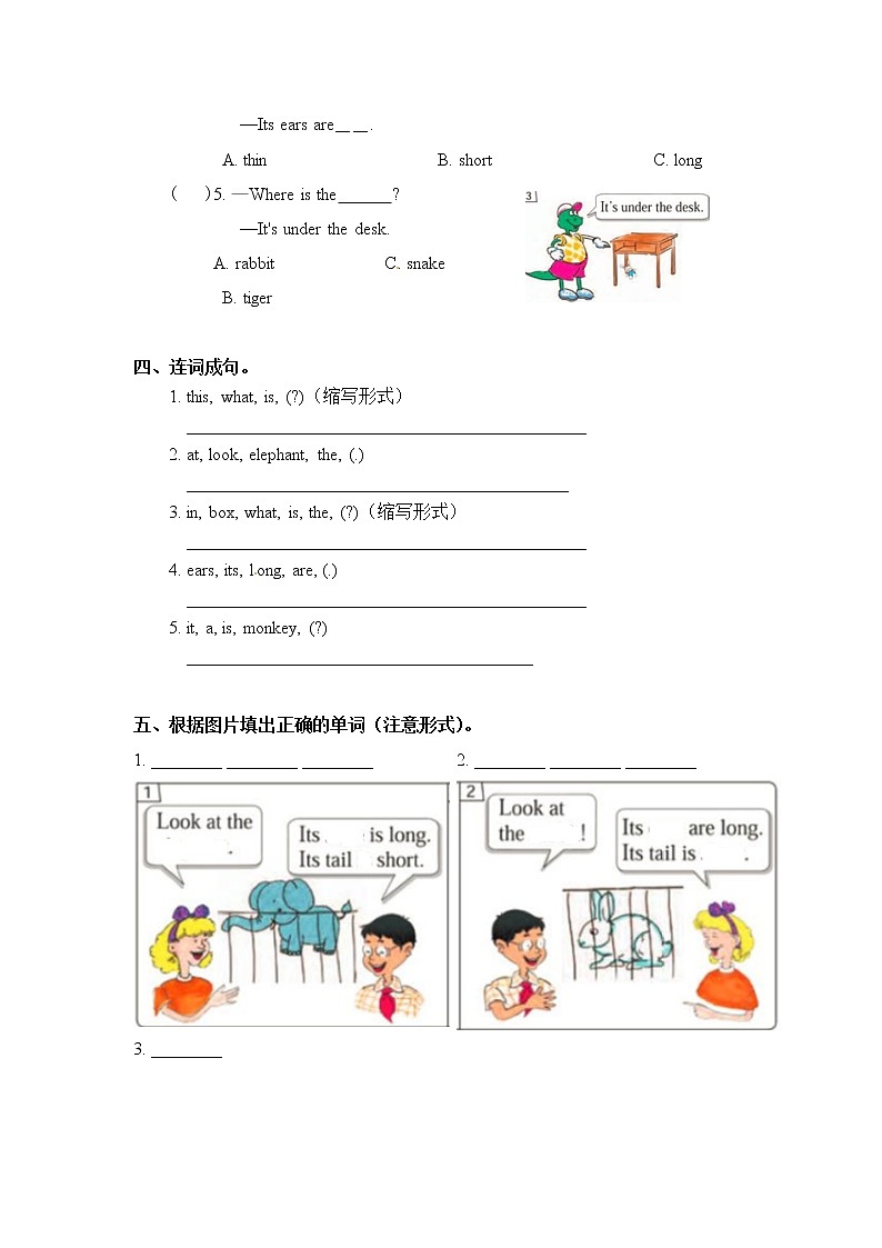 冀教版 三年级下册英语-Unit 2 Lesson 8 Tigers and Bears (课件+教案+练习+素材)02