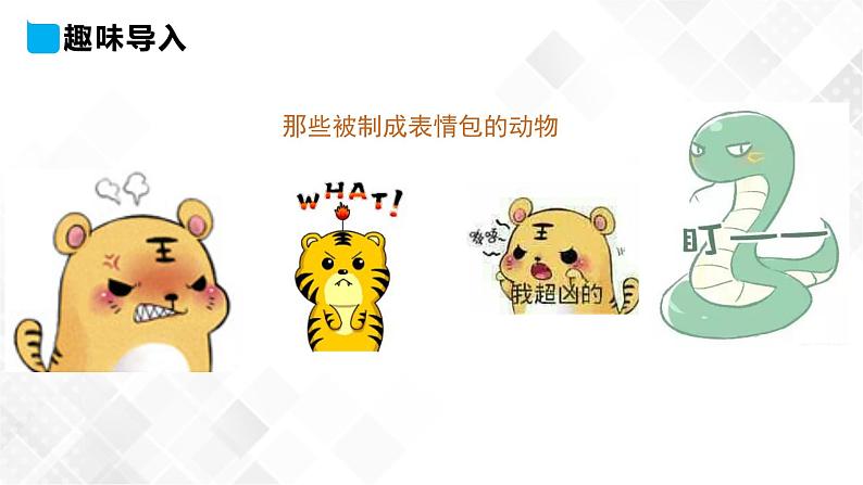 冀教版 三年级下册英语-Unit 2 Lesson 8 Tigers and Bears (课件+教案+练习+素材)03