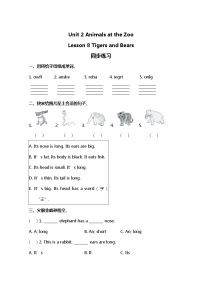 英语三年级下册Lesson 8 Tigers and Bears精练