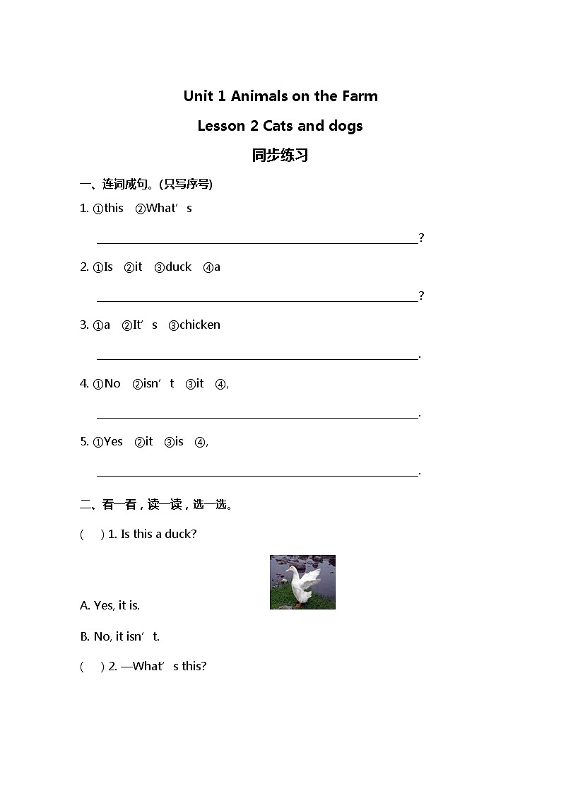 小学英语冀教三下 Lesson 2 同步测试及答案第1页