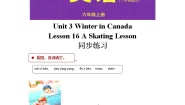 小学英语Lesson 16 A Skating Lesson同步练习题