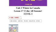 小学英语冀教版 (三年级起点)六年级上册Lesson 17 I Like All Seasons!随堂练习题