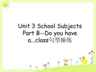 闽教四下Unit 3 Part B--Do you have a...class句型操练课件PPT