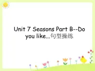 闽教四下Unit 7 Part B--Do you like...句型操练课件PPT