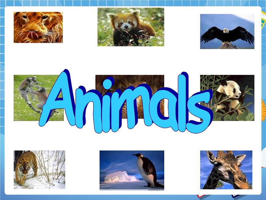 四年級(jí)下冊英語課件-Unit 3 Animals 1 (join in劍橋英語) (共19張PPT)第2頁
