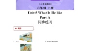 陕旅版六年级下册Unit 5 What Is He like？复习练习题