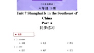 英语六年级下册Unit 7 Shanghai Is in the Southeast of China达标测试