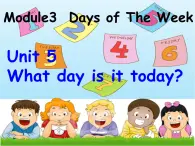 广州版英语四年级下册Module 3 Unit 5《What day is it today》PPT课件2