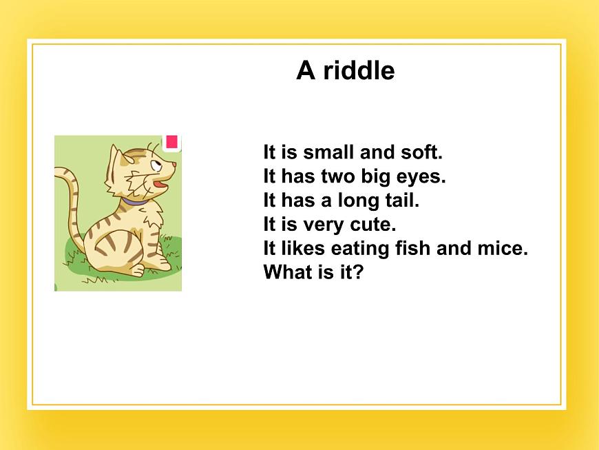 牛津上海版四年級下冊英語Module2 Unit 2 Cute animals 課件第3頁