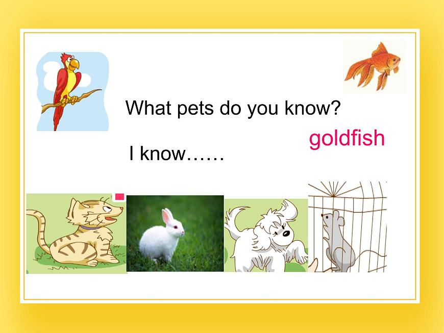 牛津上海版四年級下冊英語Module2 Unit 2 Cute animals 課件第5頁