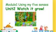 小学英语牛津上海版五年级下册Unit 2 Watch it grow！完美版课件ppt