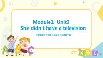 小学英语外研版 (三年级起点)五年级下册Unit 2 She didn't have a television.一等奖ppt课件