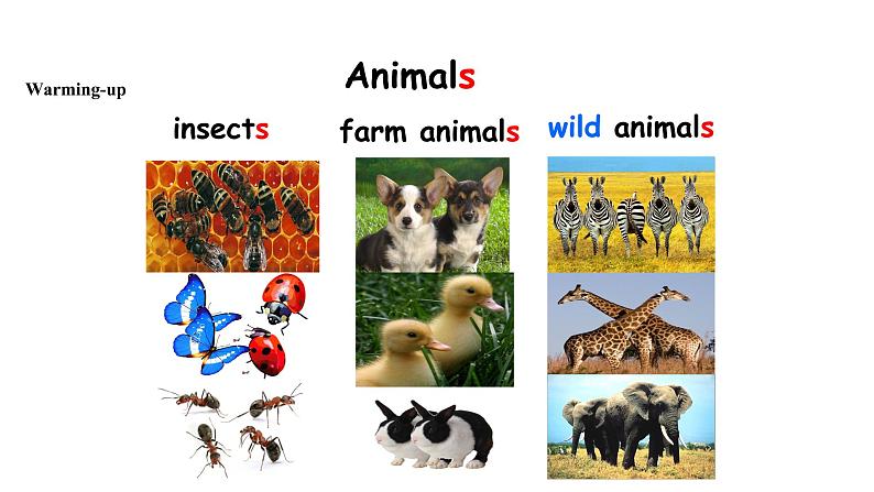 三年级下册英语课件-module 2 unit 1 animals|牛津上海版(共21张ppt)第2页
