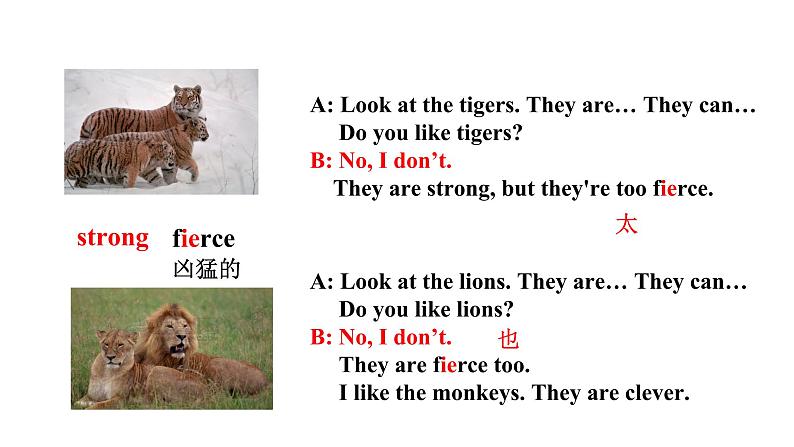 三年级下册英语课件-module 2 unit 1 animals|牛津上海版(共21张ppt)第5页