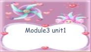 英语六年级下册Module 3Unit 1 I took some photos.授课ppt课件