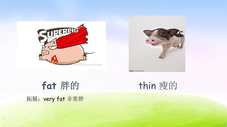 外研版(一起)一下Module 5《Unit 2 It’s thin》ppt课件1第2页