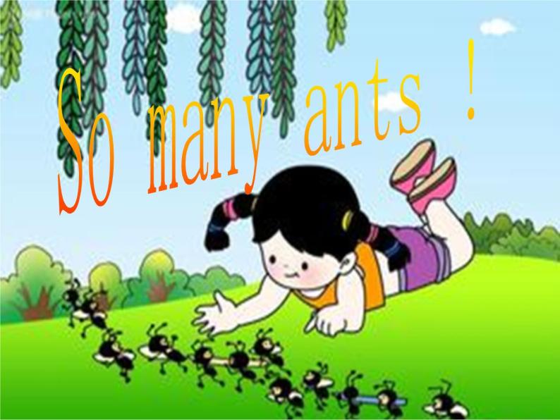 三年级下册英语课件-Lesson W So many ants !∣川教版(三年级起点) (共22张PPT)01