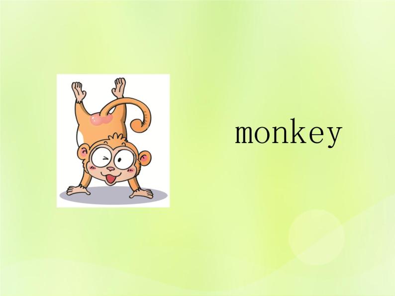 Unit 1 They're monkeys课件 外研版（三起）小学英语三下04