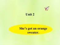 Unit 2 She's got an orange sweater课件 外研版（三起）小学英语三下