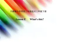 Lesson E课件PPT