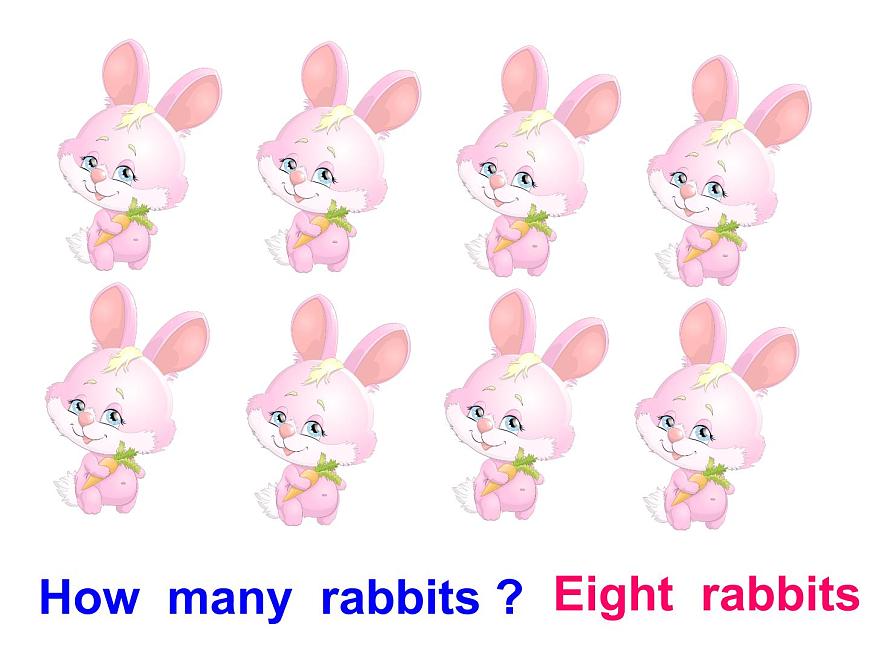 lessonV how many rabbits課件PPT第3頁