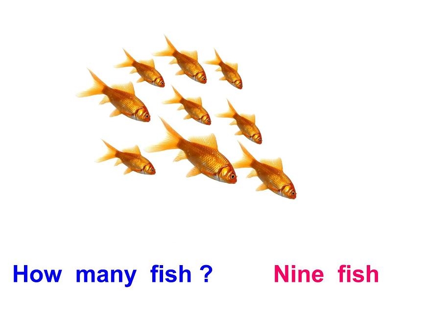 lessonV how many rabbits課件PPT第6頁