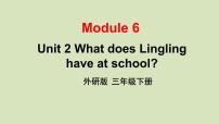 小学外研版 (三年级起点)Unit 2  What does Lingling have at school?精品课件ppt