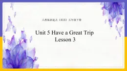 Unit 5 Have a Great Trip Lesson 3精品课件