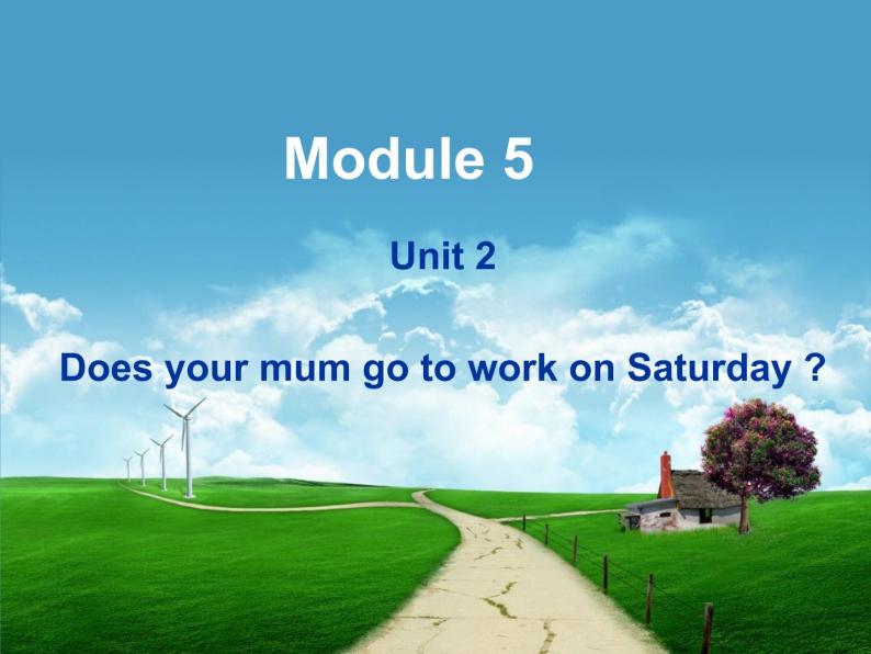 外研版（三起）三下Module 5《Unit 2 Does your mum go to work on Saturdays》ppt课件201