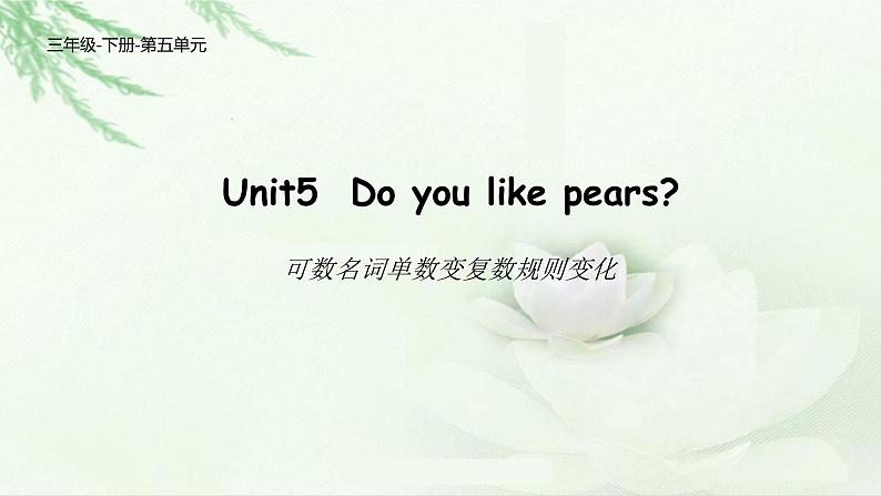Unit 5 Do you like pears 语法小知识 课件-2021-2022学年人教PEP版英语 三年级下册01