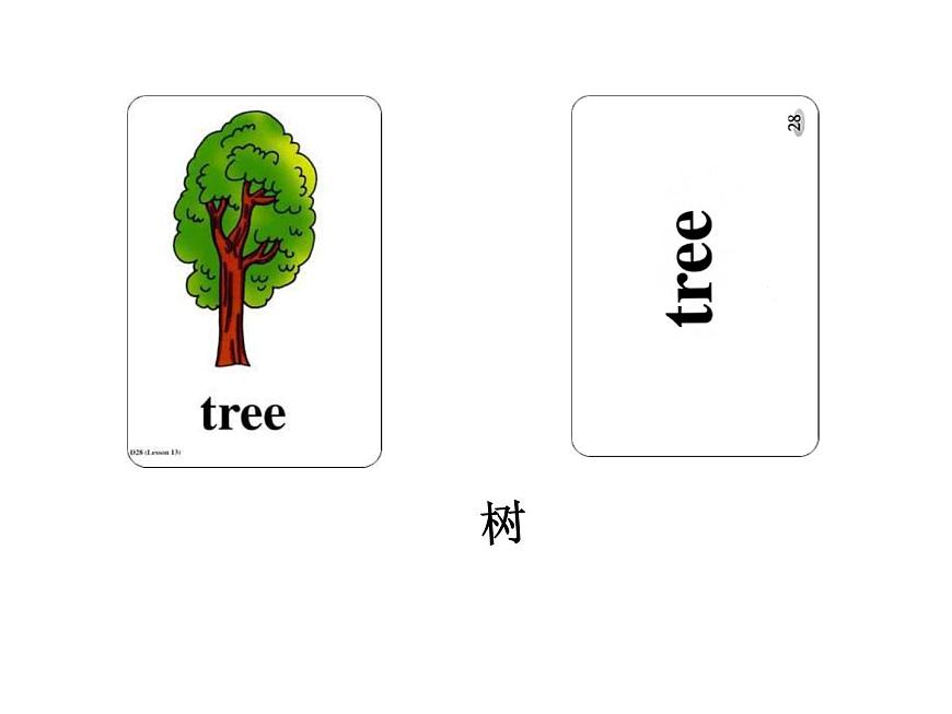 人教新起點(diǎn)小學(xué)英語(yǔ)二年級(jí)上冊(cè)《Unit 5 In the Parks》PPT課件 (3)第8頁(yè)
