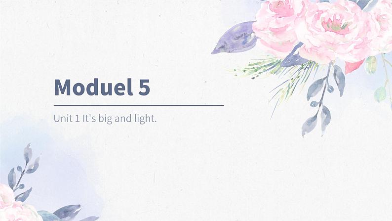 Module5Unit1 It 's big and light第1页
