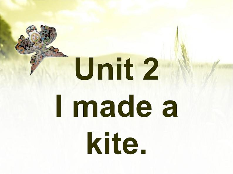 外研版(三年级起点)五年级下册M8 U2 I made a kite. 课件第1页