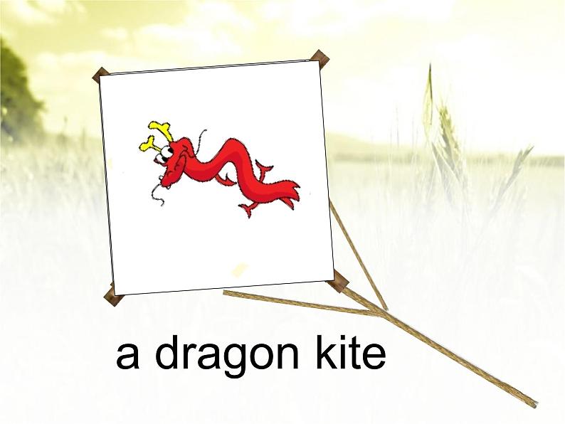 外研版(三年级起点)五年级下册M8 U2 I made a kite. 课件第3页