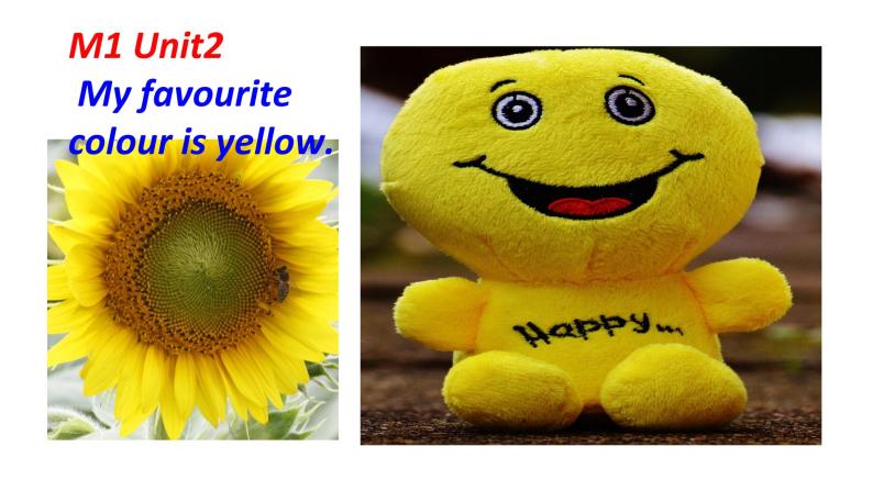 三年级英语下册课件-Module 1 Unit2 My favourite colour is yellow68-外研版（三起）01