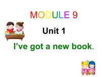小学英语外研版 (三年级起点)三年级下册Unit 1 I've got a new book.教案配套课件ppt