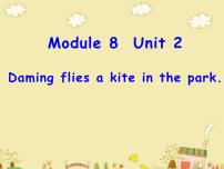 小學(xué)英語外研版 (三年級(jí)起點(diǎn))三年級(jí)下冊(cè)Unit 2 Daming flies a kite in the park.集體備課ppt課件