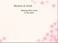 三年级英语下册课件-Module 8 Unit 2 Daming flies a kite in the park-外研版（三起）