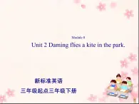 三年级英语下册课件-Module 8 Unit 2 Daming flies a kite in the park-外研版（三起）