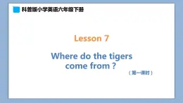 小学英语六年级下册—Lesson 7 Where do the tigers come from？（第1课时） 课件（科普版）