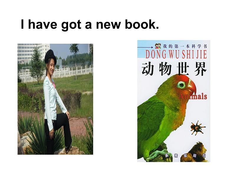 三年级英语下册课件-Module 9 Unit 1 I've got a new book208-外研版(三起)05