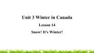 六年级上册Lesson 14 Snow! It's Winter!教学ppt课件