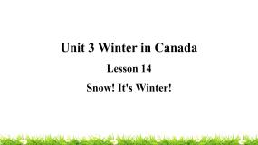 六年级上册Lesson 14 Snow! It's Winter!教学ppt课件