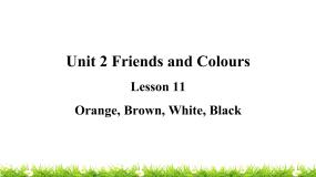 三年级上册Lesson 11 Orange, Brown, White, Black教学ppt课件