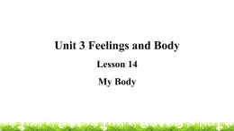 翼教版三上英语教学课件Lesson 14 My Body