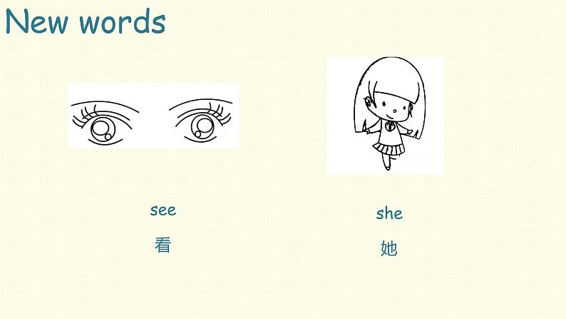 Book 3B Lesson 4-2课件PPT第5页