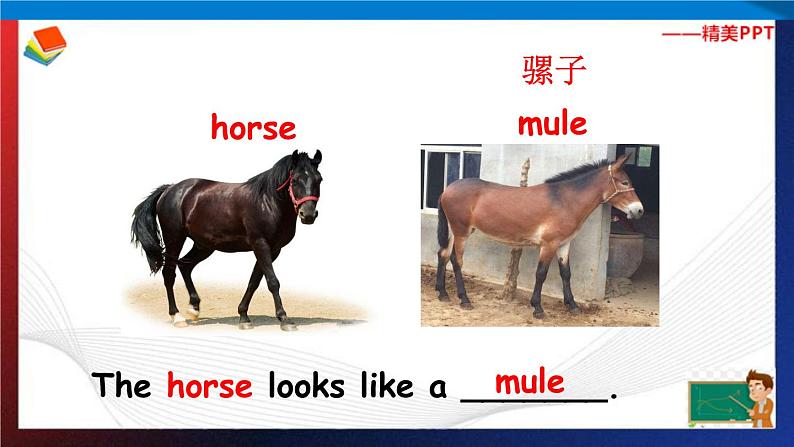 人教PEP版六年级下册英语同步课件 Unit 3 Where did you go A Let 's try & Let 's talk第8页