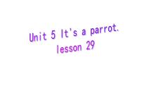 小学英语人教精通版三年级下册Unit 5  It's a parrot.Lesson 29课前预习课件ppt